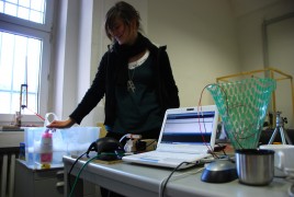 Foam visualization of electromagnetic fields by Laura Popplow